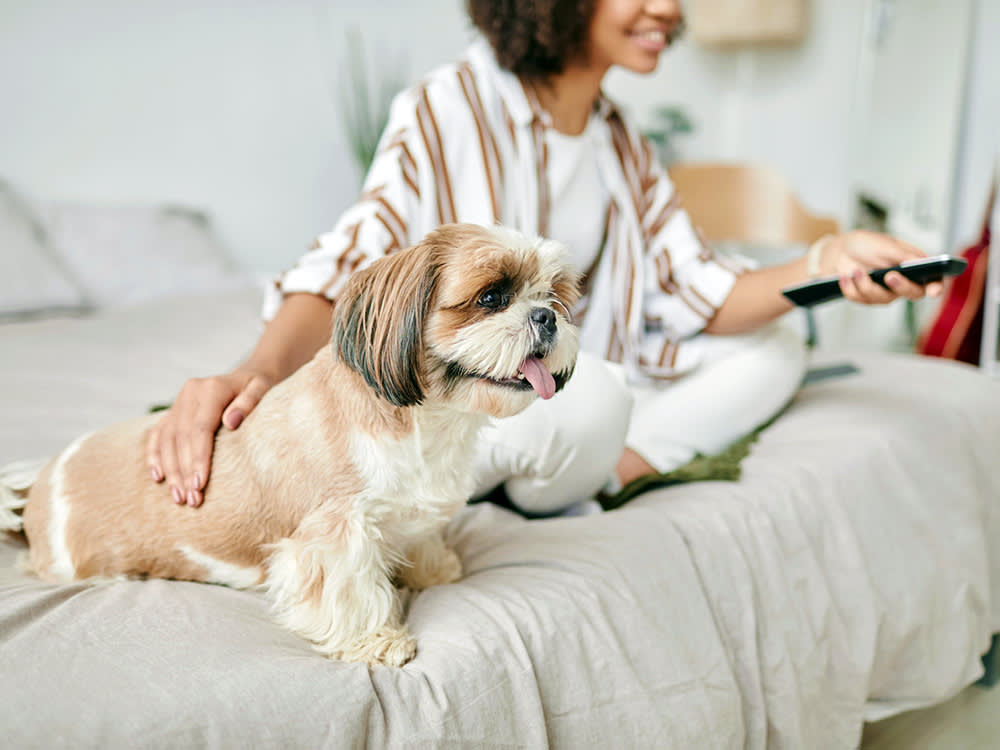 43% Would Rather Watch a Movie With Their Dog. The Reason Isn't Love.