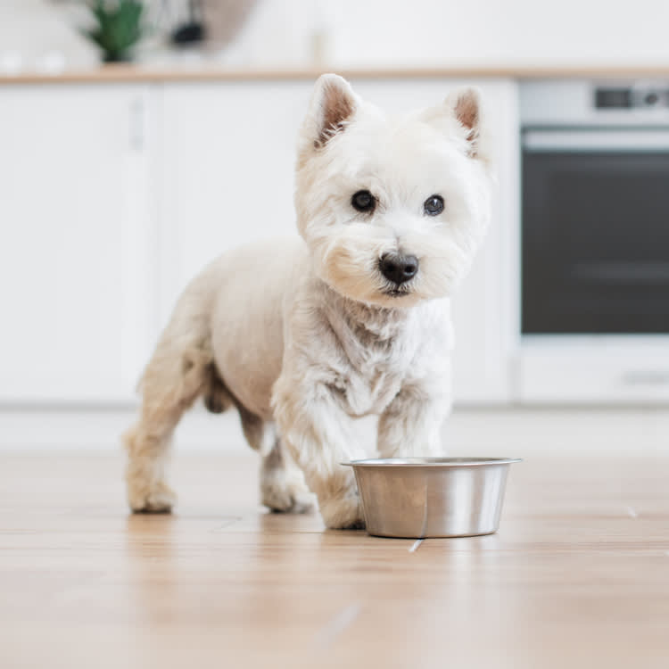 The Recalled Raw Food Was Never the Only Thing at Risk. Your Kitchen Was.