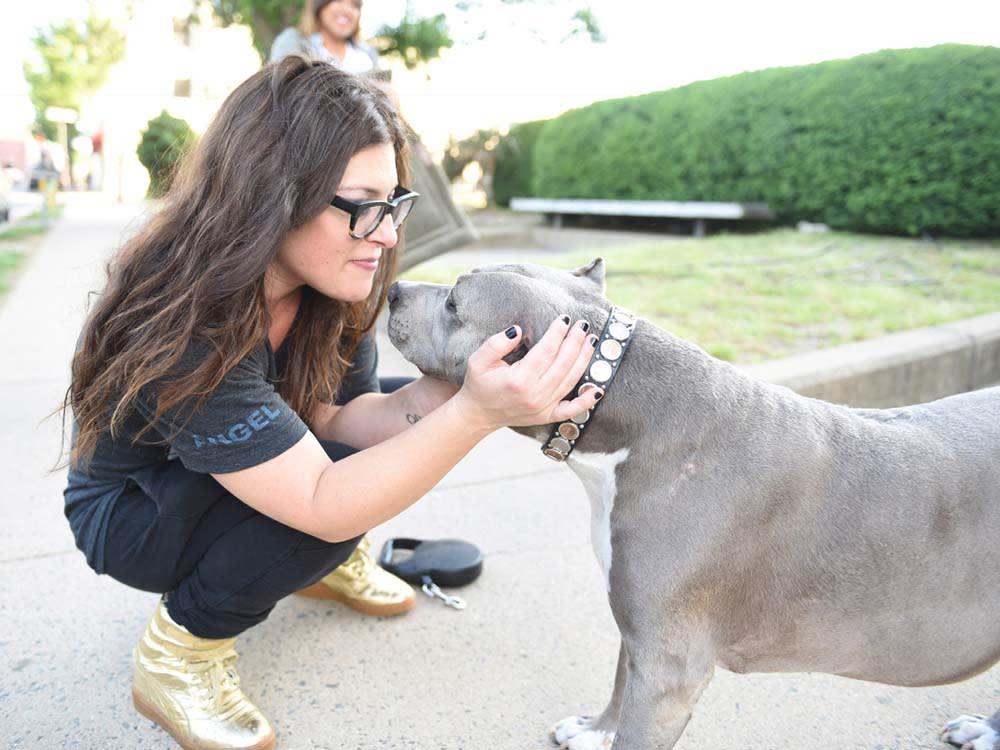 A Comedian Built a Movement Around the Dogs Nobody Wanted