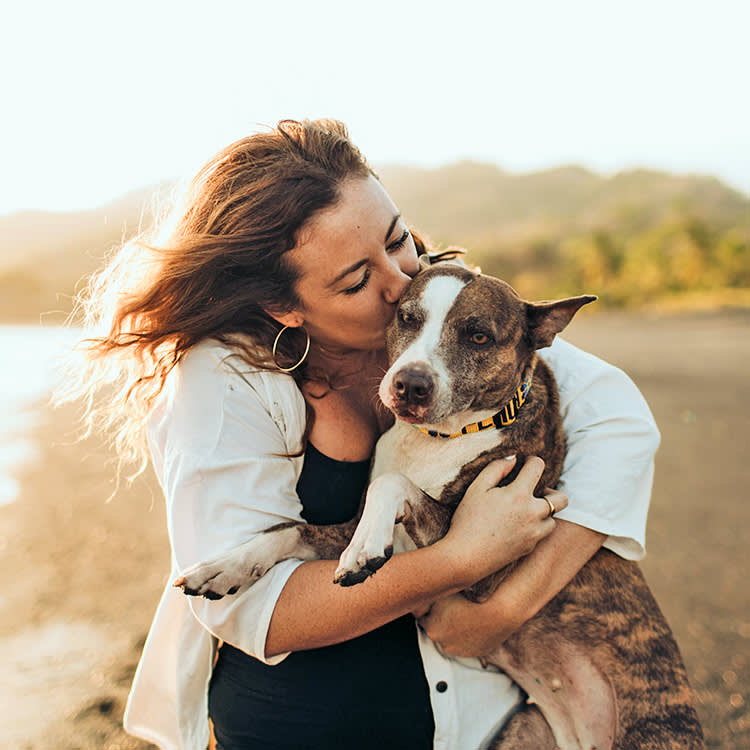 Your Rescue Can Win $1,000 for the Shelter That Saved Them
