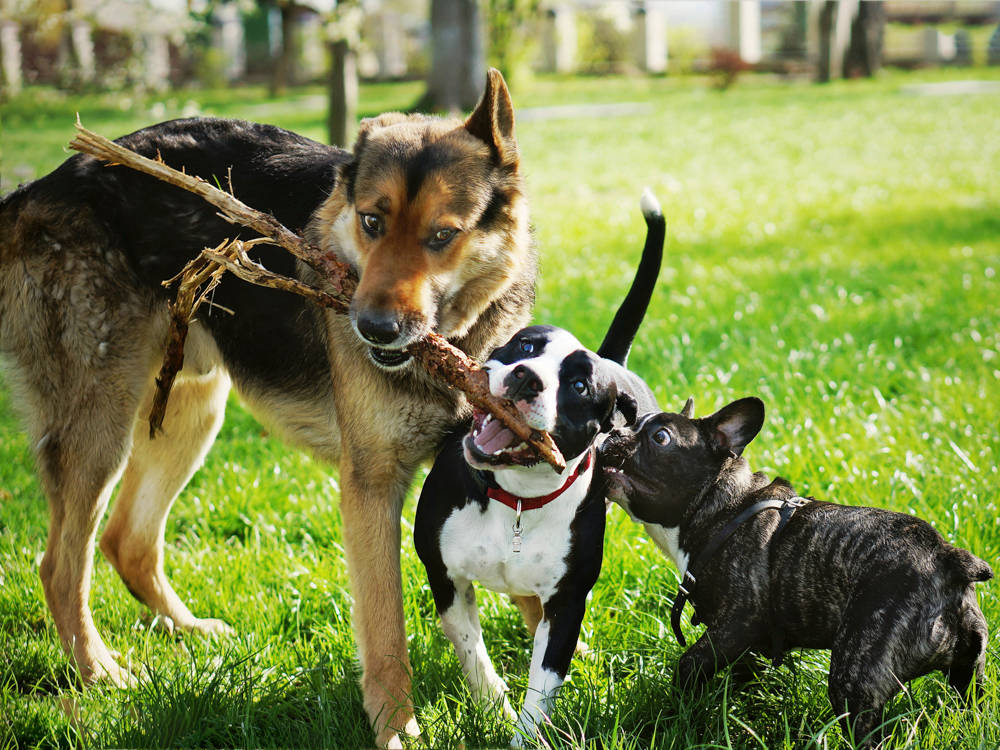 You're Not Breaking Up a Fight. You're Interrupting a Conversation.