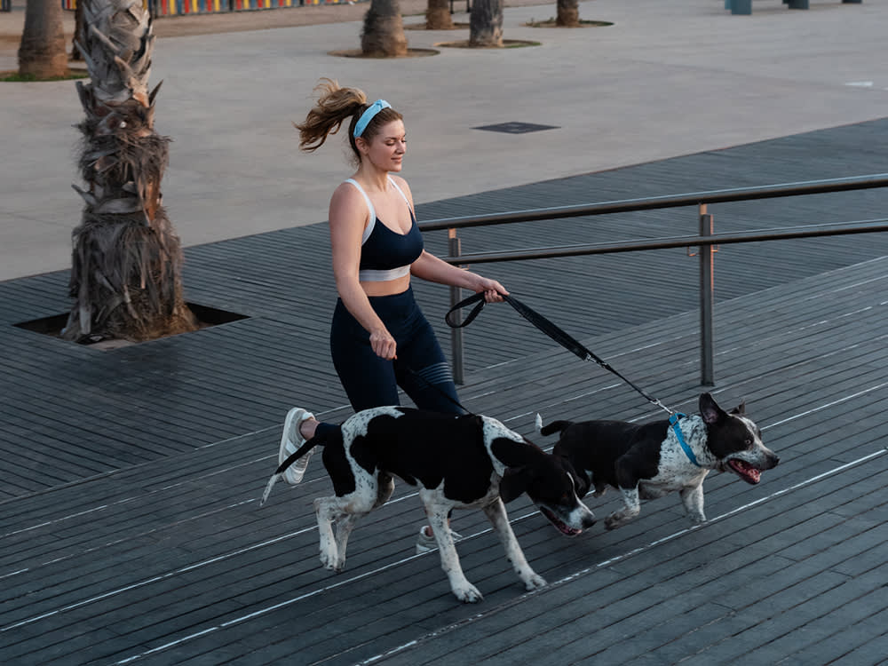 Before You Turn Your Dog Into a Running Buddy, Read This