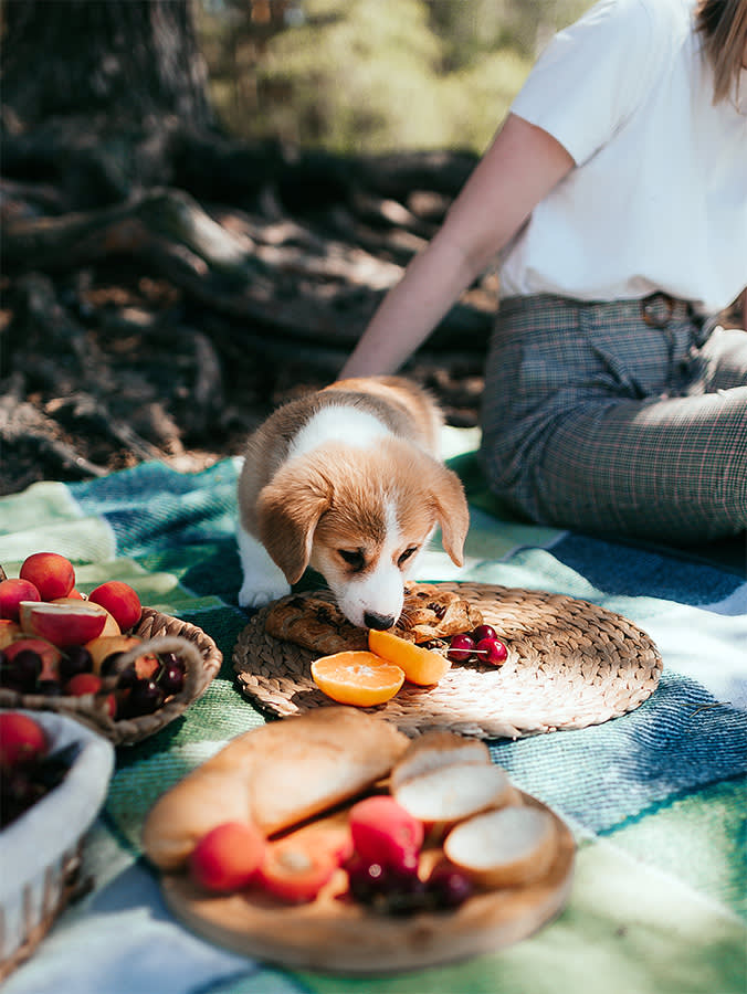 The Fruit Bowl Has Landmines. The Fruit Usually Isn't One of Them.