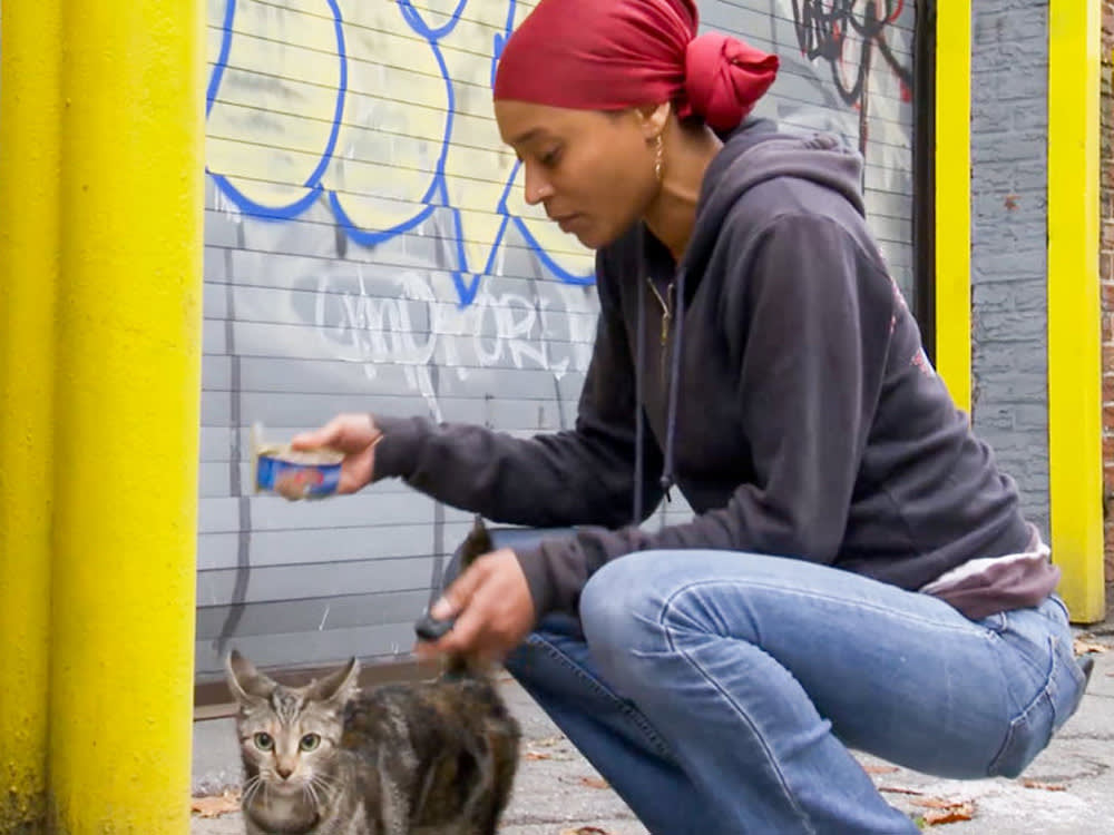 One Woman, a 2002 Camry, and Brooklyn's Cats Nobody Else Will Save