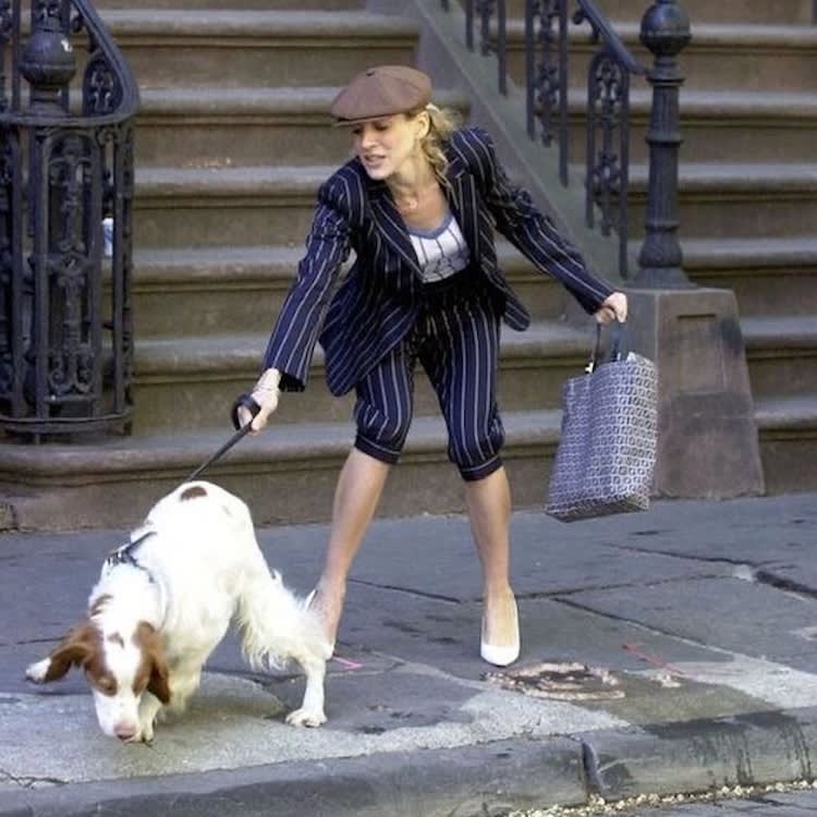 Charlotte's Two Dogs Are the Most Damning Thing in "Sex and the City"