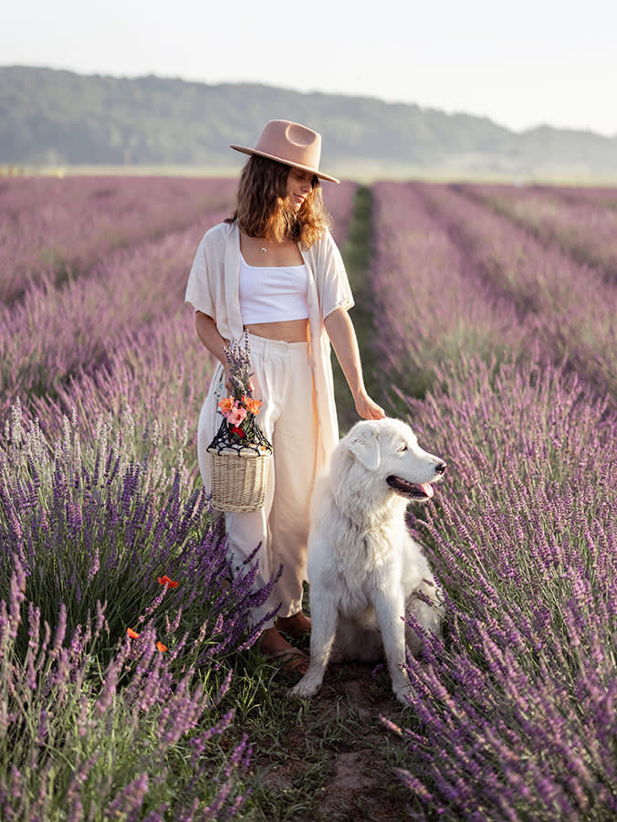 Your Dog Would Rather Sniff Than Almost Anything. Give Them Something Worth Smelling.