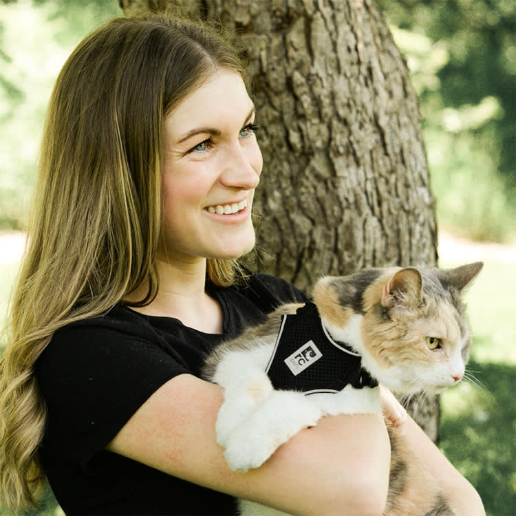 A Grumpy 14-Year-Old Cat Nobody Would Have Adopted Started a Movement