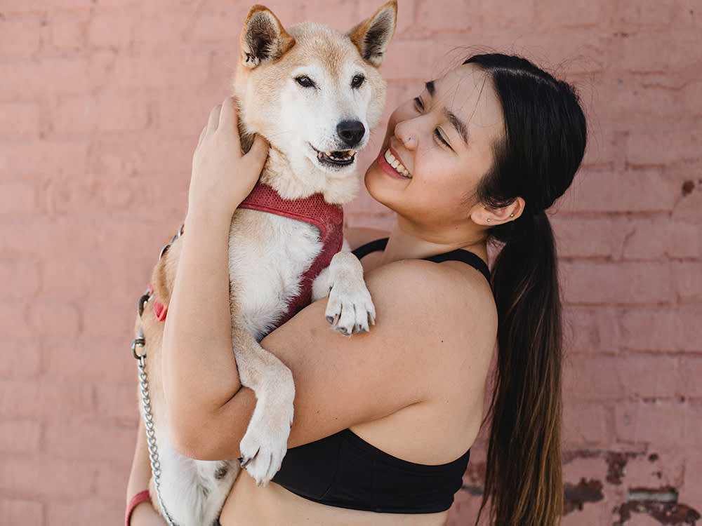 Your Senior Dog's Best Defense Is a Blood Test They'll Never Feel