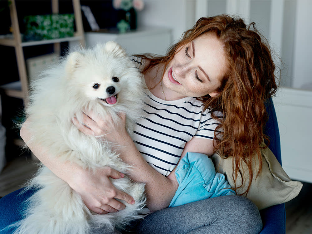 Half of What You Call 'Old Age' in Your Dog Is Treatable