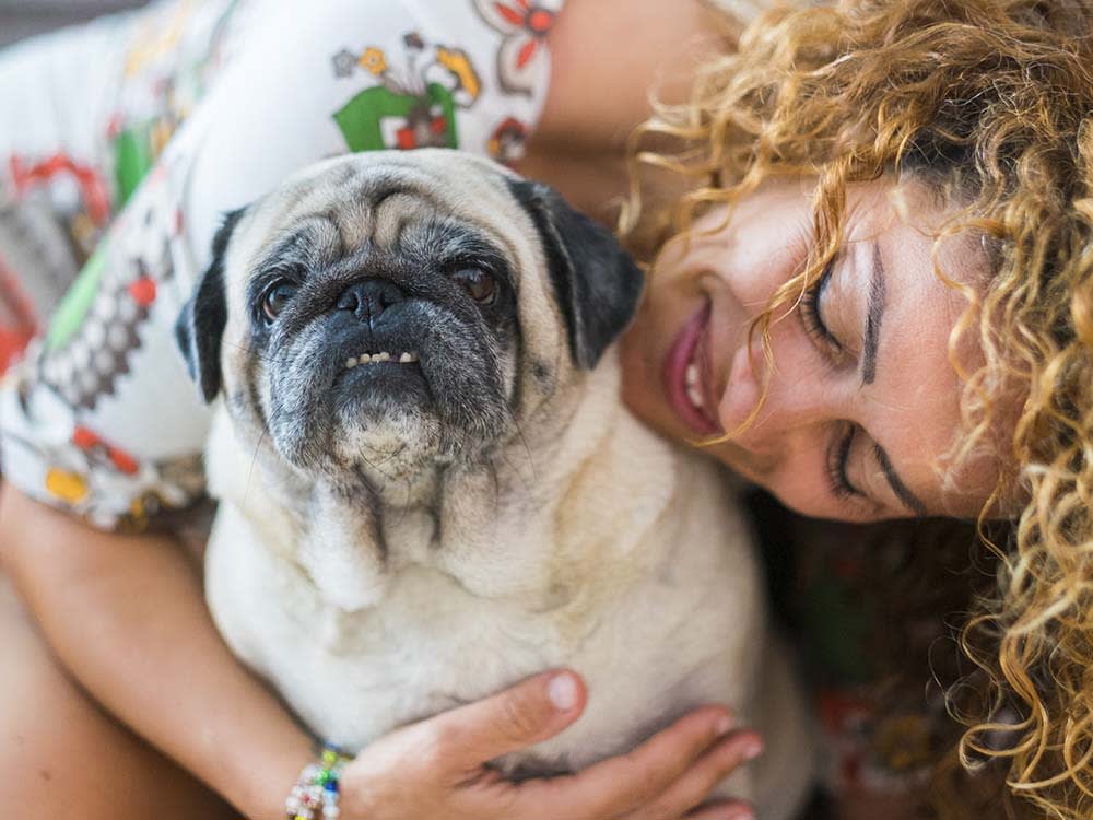 Nobody Prepares You for Your Dog Getting Old. Start Here.