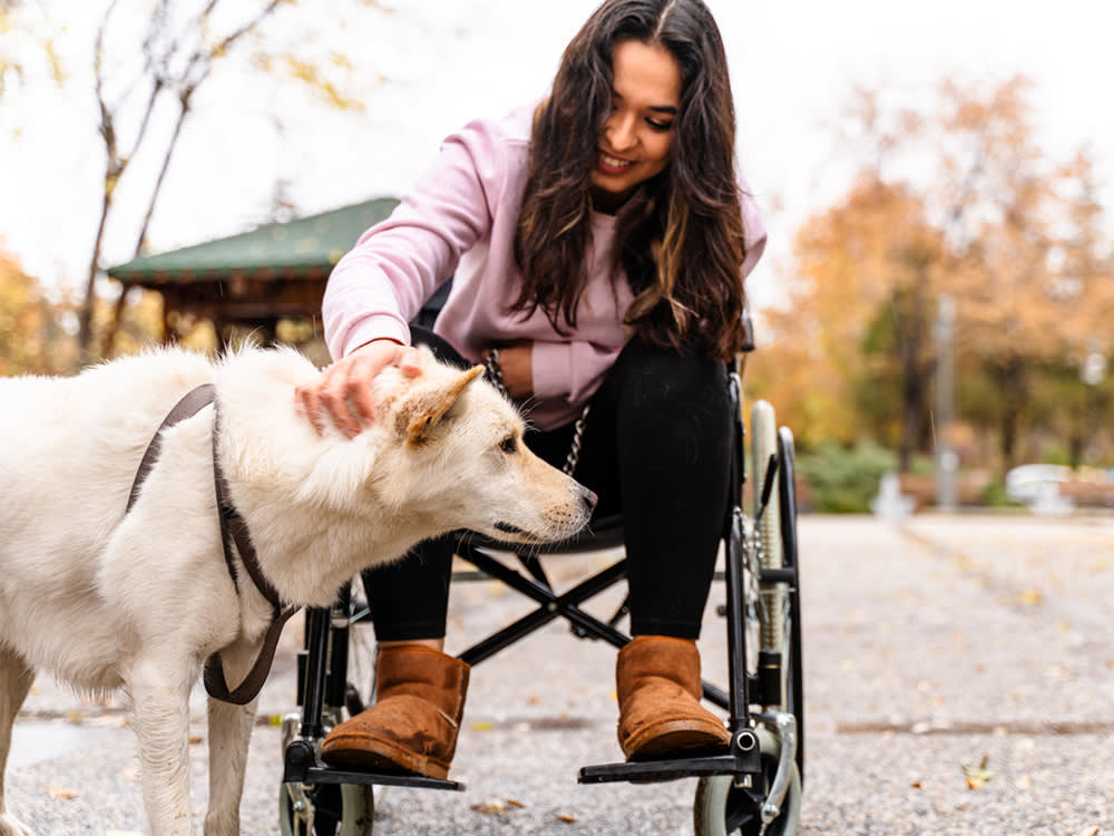 Every 'Service Dog Registry' Is a Scam. Here's What Actually Makes One Legal.