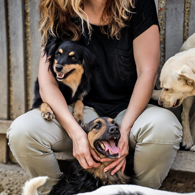 Shelters House Dogs Alone to Keep Them Safe. It's Quietly Costing Them Homes.
