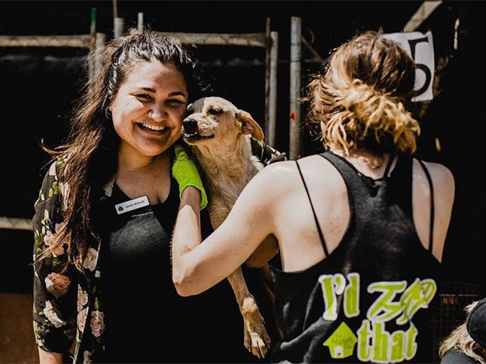 The Animal Pad's Secret Isn't 300 Volunteers. It's That Almost None Leave