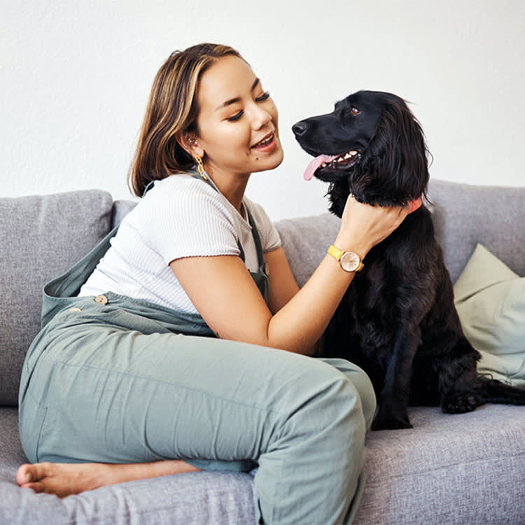 One Sleepover Makes a Shelter Dog 14 Times More Likely to Get Adopted