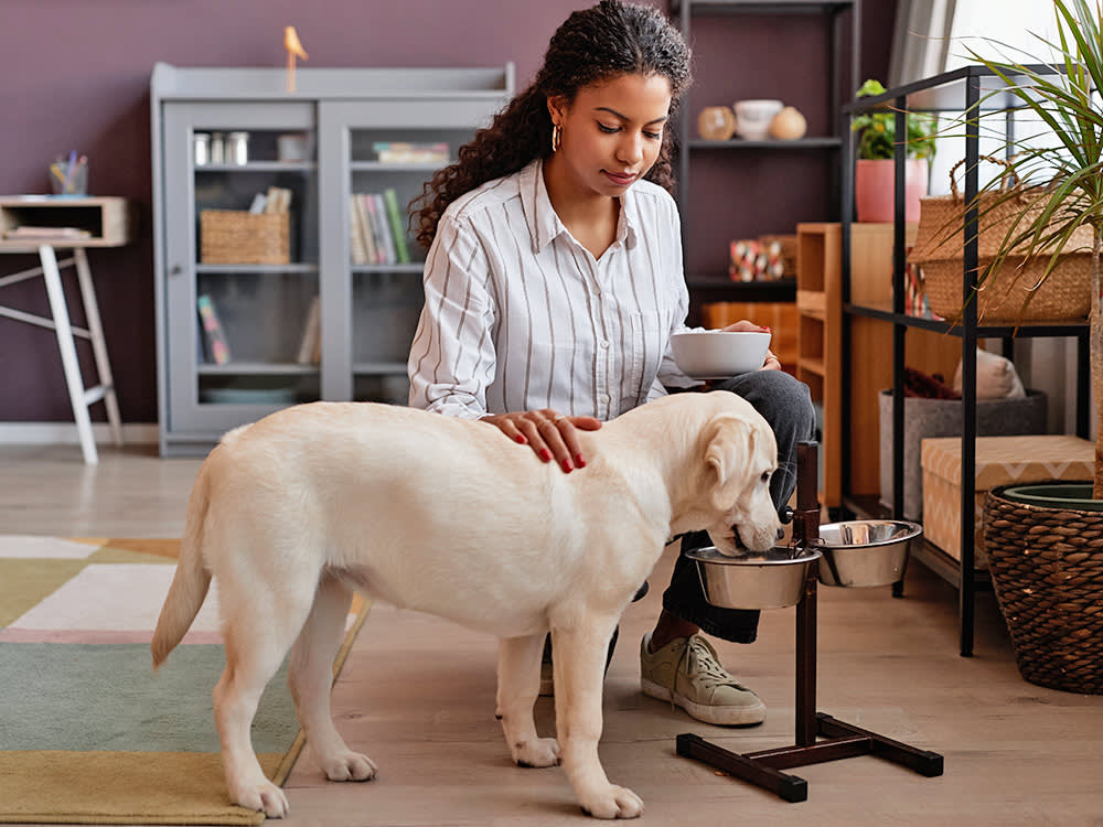 The Puppy-Food Mistake Everyone Makes Isn't About Adult Food. It's About Calcium