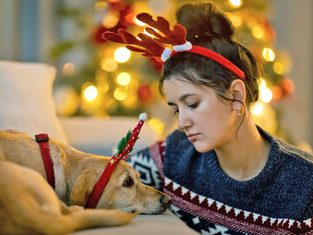 Your Dog Isn't Shy at Your Party. Six Signs They Want Out.