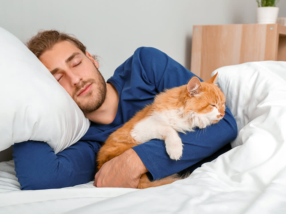 The Cat-or-Dog Sleep Gap Is About Physics, Not Love