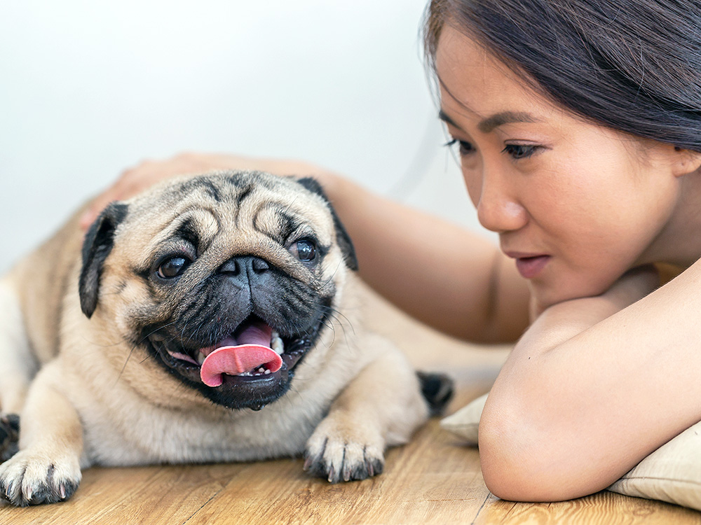 That Cute Snorting Noise Has a Name. So Do the Two That Aren't Cute.