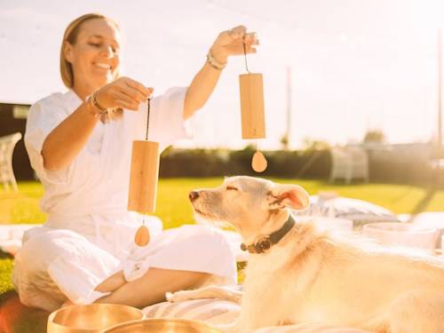 Sound Baths for Dogs Sound Like Woo. The Research Isn't.