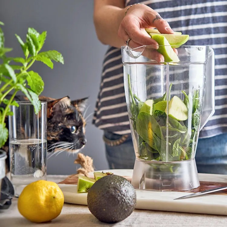 'Superfood' Means Nothing to Your Cat. Spinach Included.