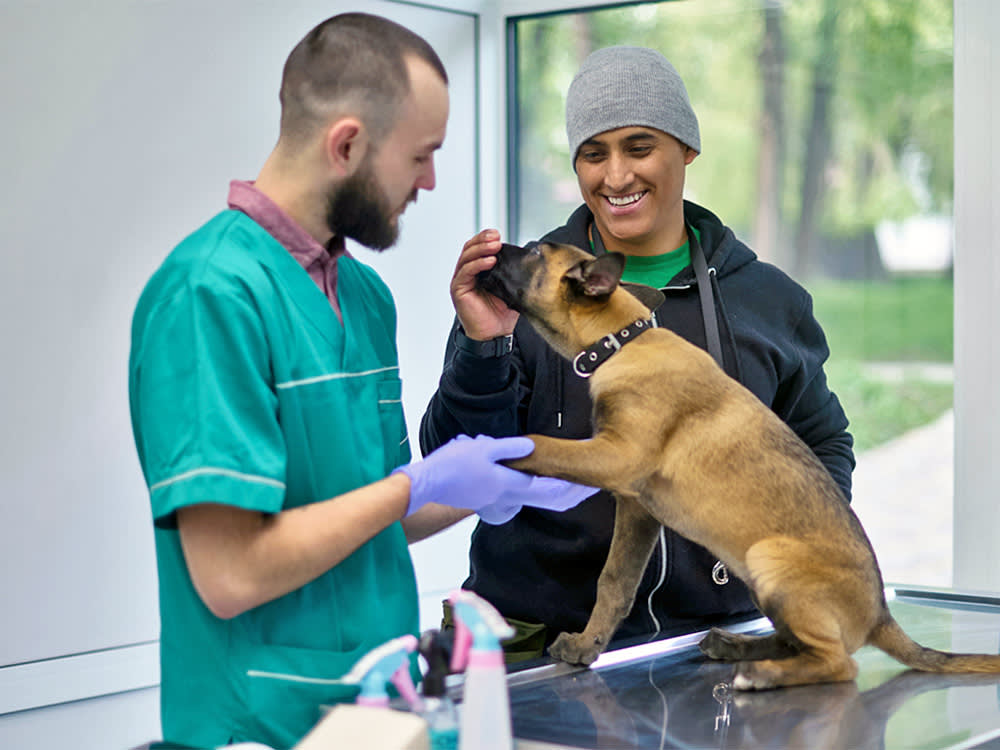 Some Vets Want You Out of the Exam Room. The Research Says Your Dog Wants You In It.