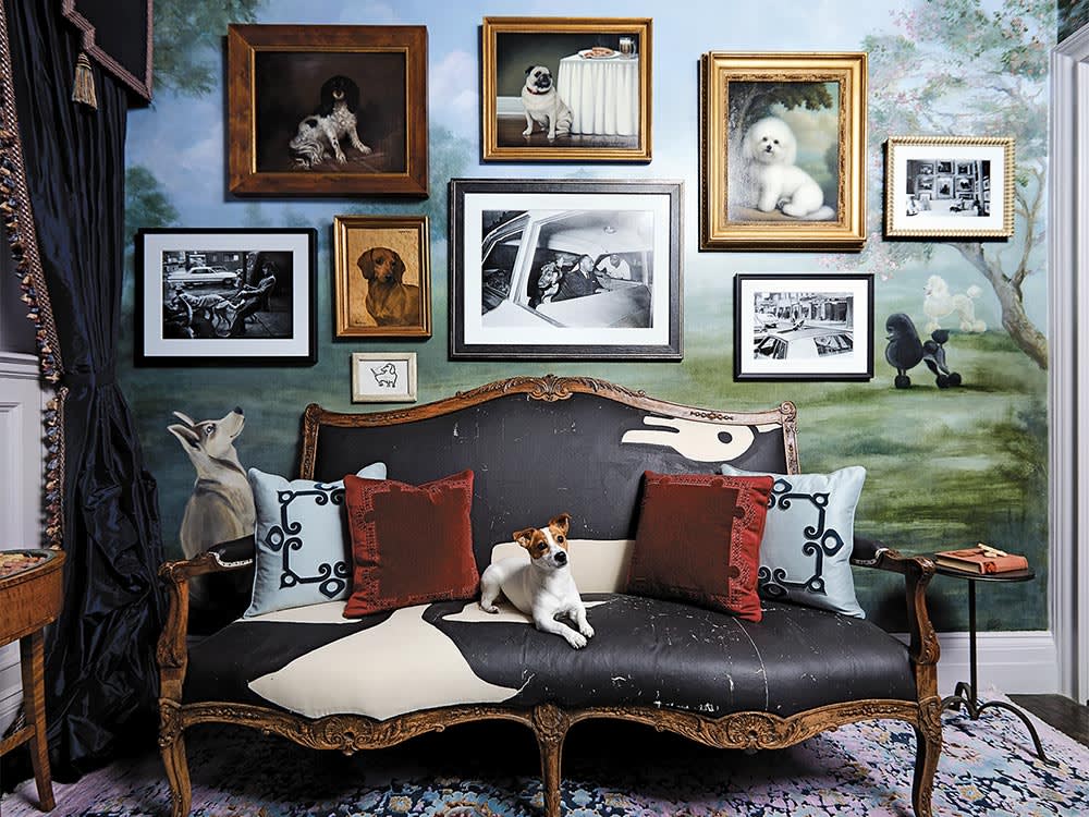 Stop Dog-Proofing Your Home. One Designer Did the Opposite.