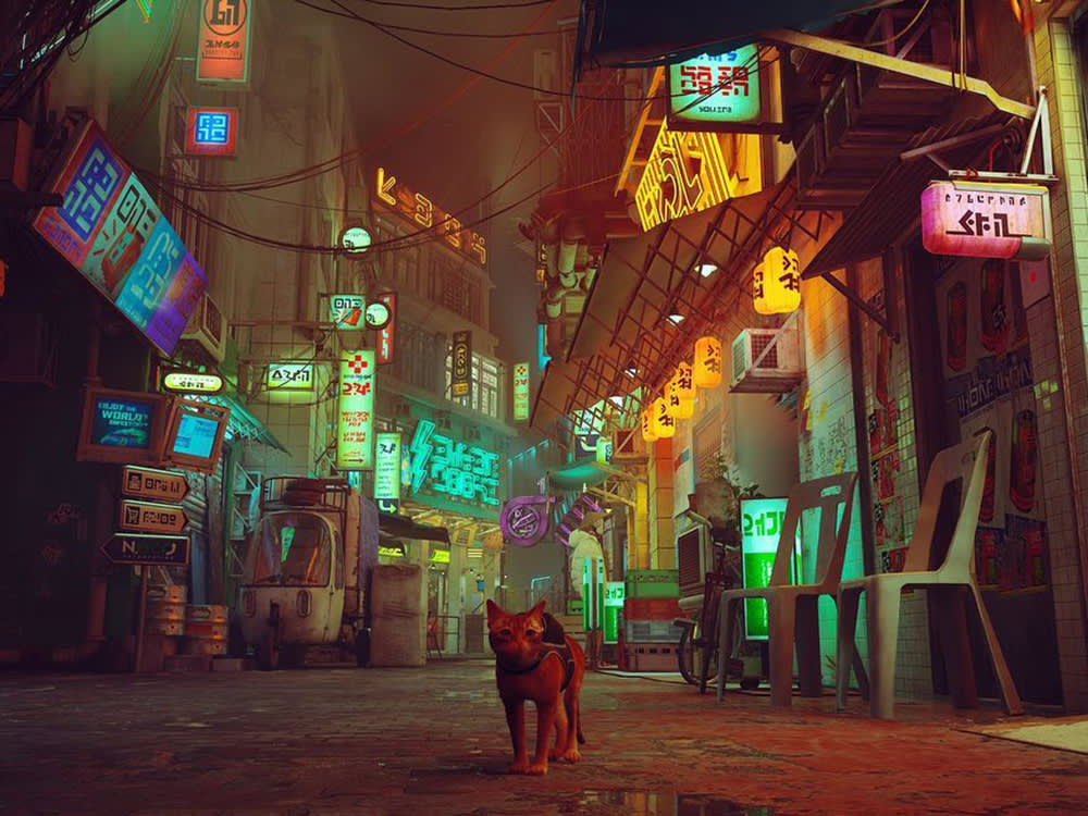 A Video Game Studied Cats Harder Than Most Cat Owners Do