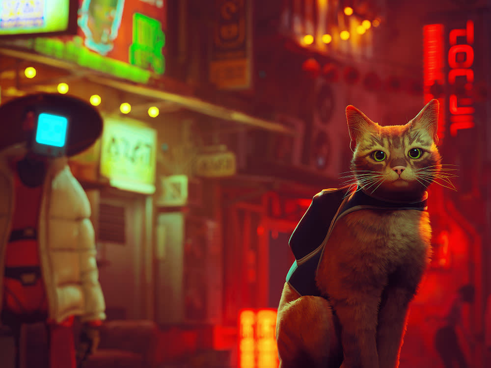The 'Stray' Movie Has One Job: Don't Let the Cat Talk