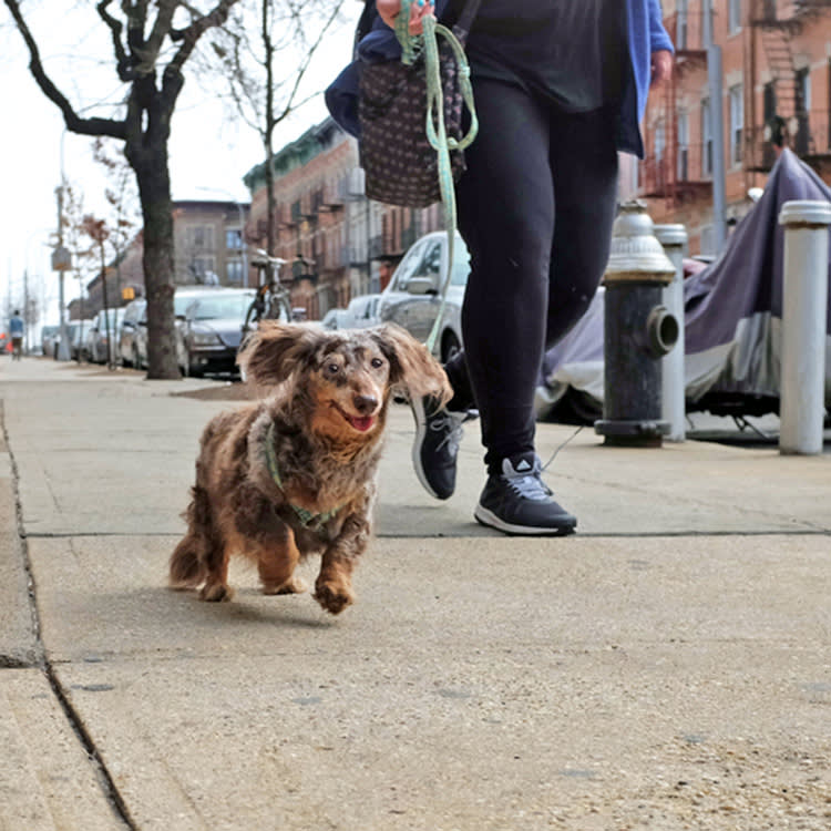 The Winter Sidewalk Danger No One Warns You About Until It's Too Late
