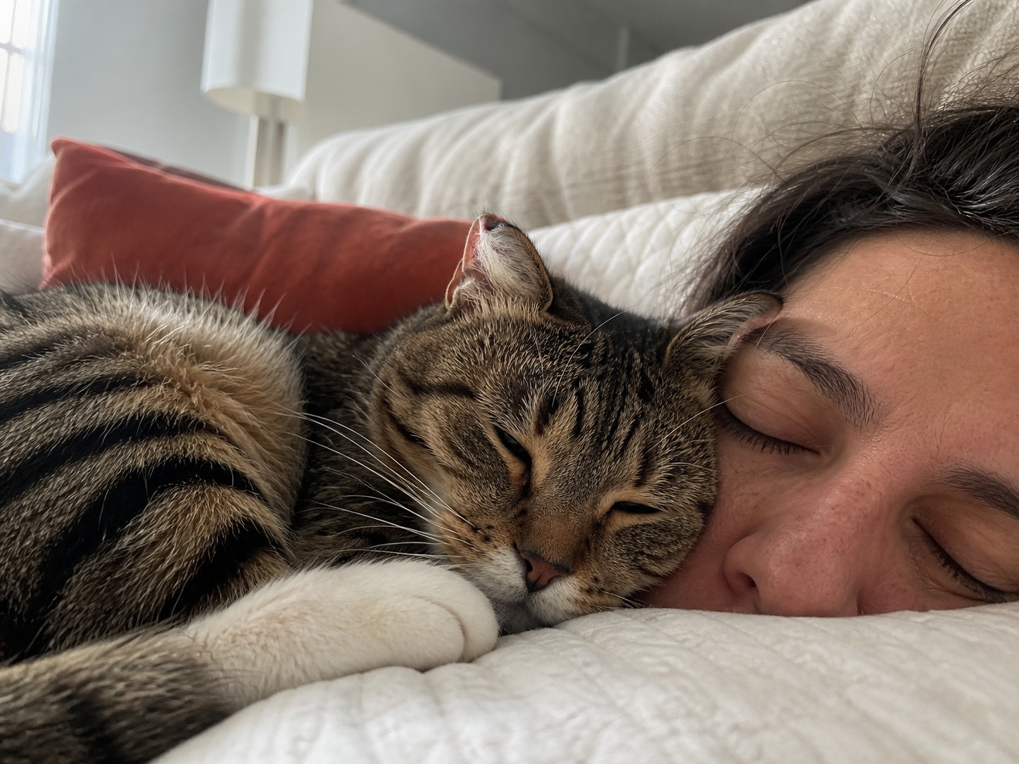 Your Cat Isn't Trying to Cuddle. They're Doing Math.