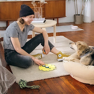 Your 'Talking' Dog Isn't Reading Your Body Language After All