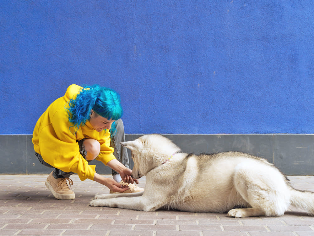 Stop Pushing Your Dog Down. Catch Them Doing It.