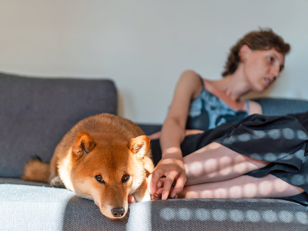 Sending Your Dog to Its Crate as Punishment Ruins the One Room That's Theirs