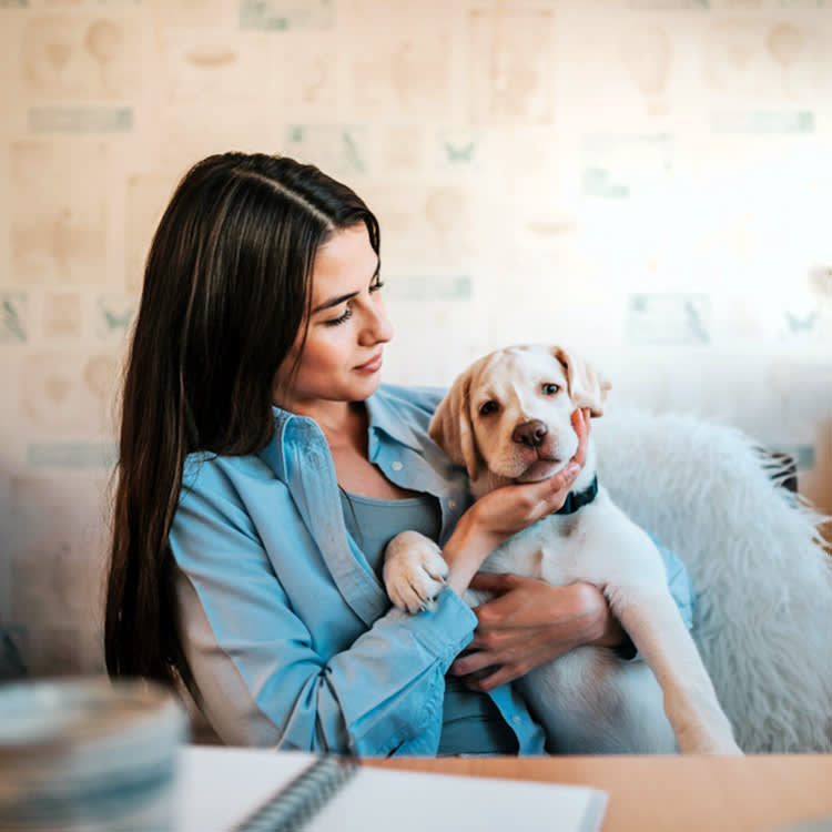 Acid Reflux in Dogs: Why Chasing Symptoms Fails, and What Actually Works