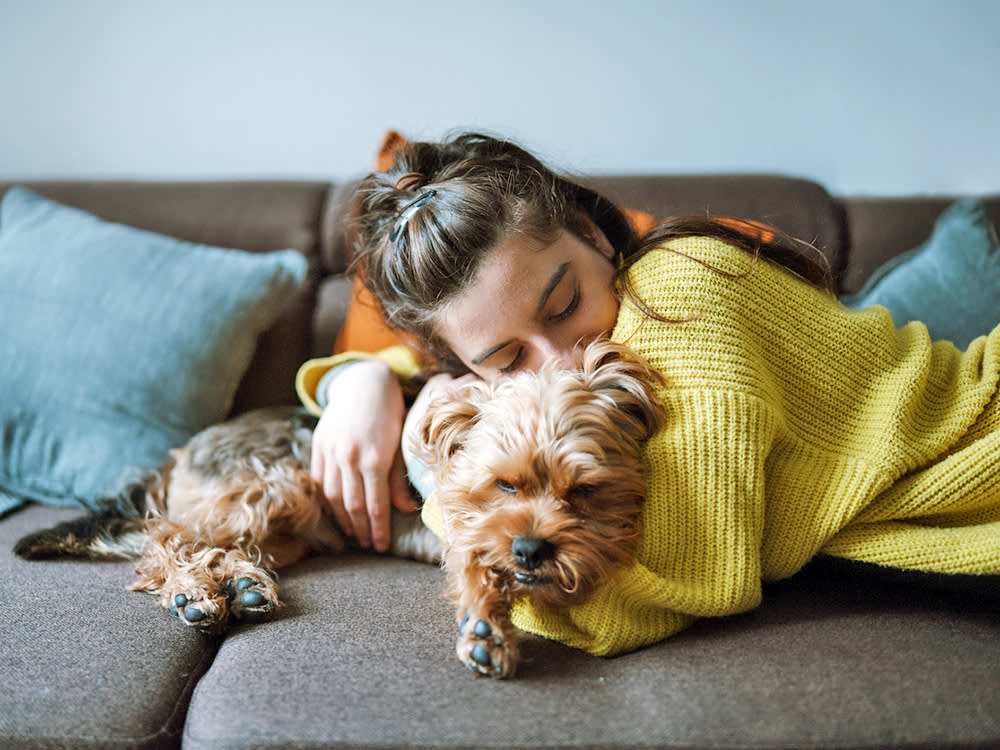 Tylenol Is the 'Gentle' Painkiller That Quietly Wrecks a Dog's Liver