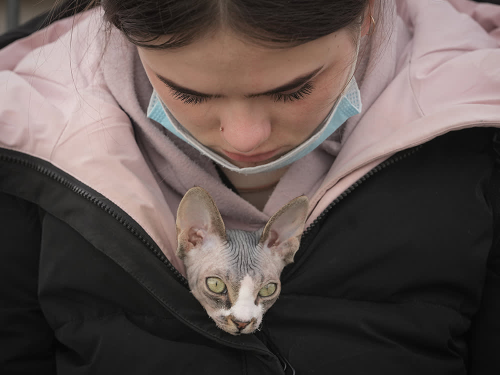 The Photographer Who Kept Finding Cats Inside Refugees' Coats