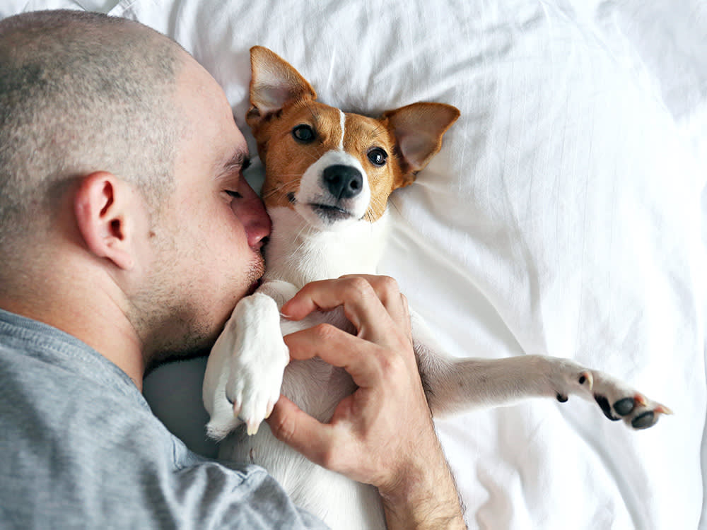 The 'Vagus Nerve Reset' for Anxious Dogs Is a Myth. The Nerve Is Not.