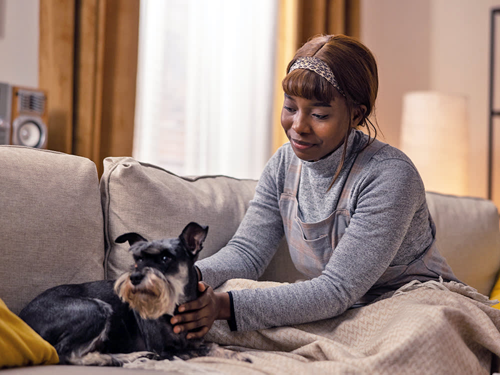 Your Dog's Bladder Infection: Why the Right Antibiotic Beats a Fast One