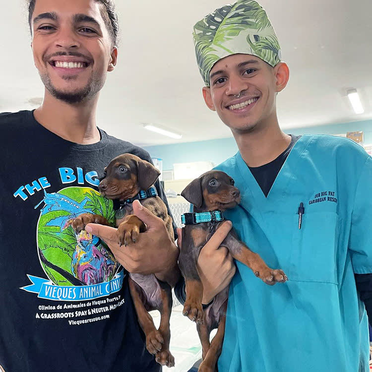 One Tourist, 6,000 Spayed Strays, and an Island That Changed