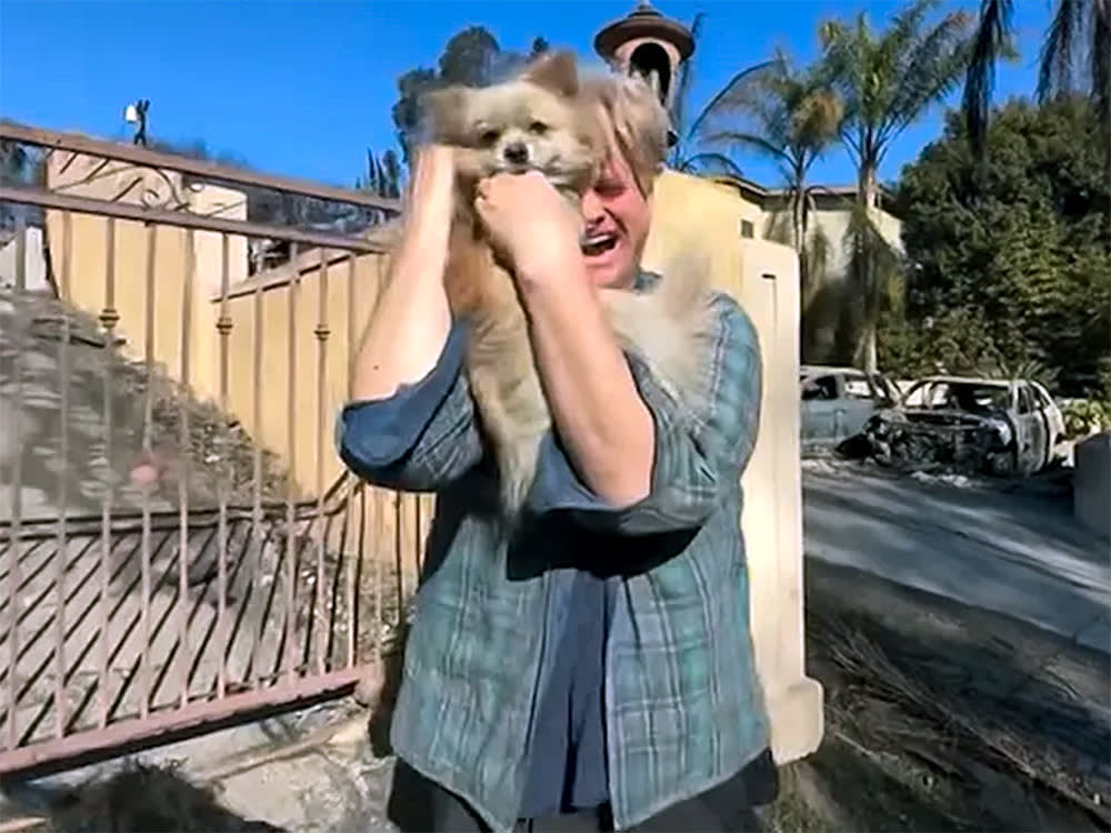A Viral Dog Reunion Rewrote California Law
