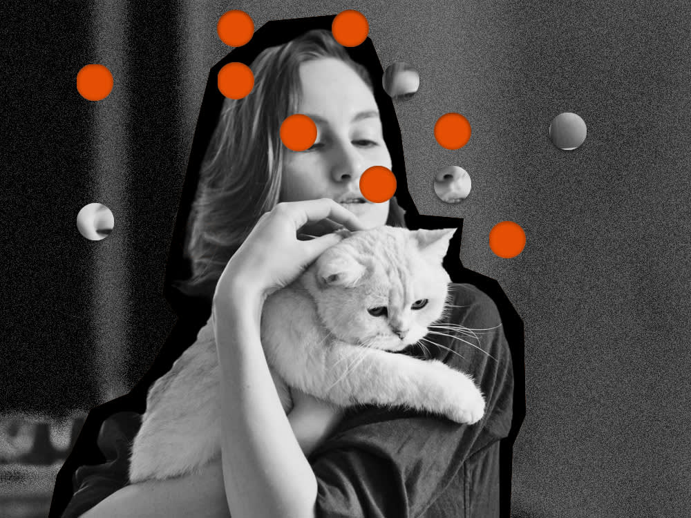 The Viral Cat Essay's Real Failure Was Confusing a Feeling With a Choice