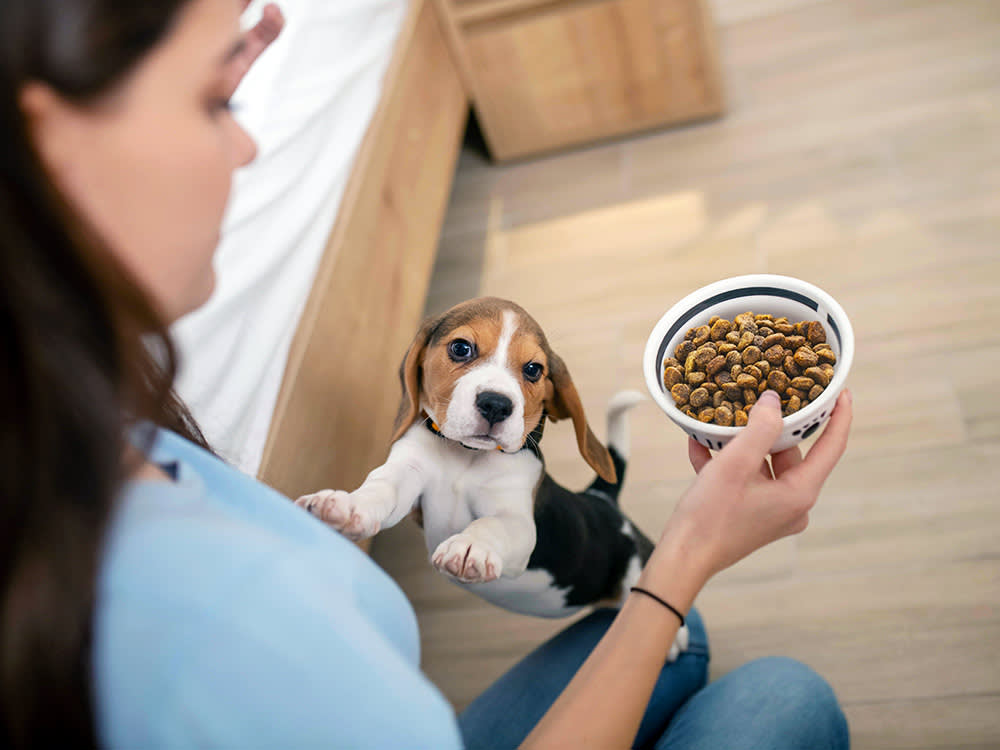 Weaning a Puppy Too Fast Backfires. Here's the Timeline That Works