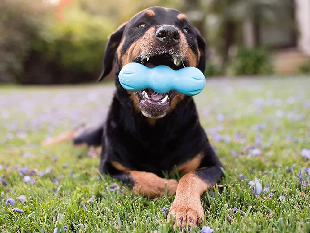 This Montana Factory Grinds Up Your Dog's Old Toy and Makes You a New One