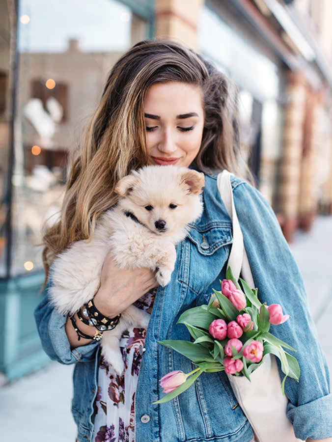 The West Village Dog Isn't a Breed. It's a Budget.