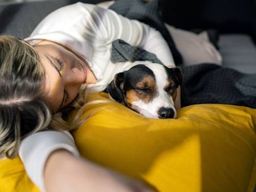 Those Twitching Paws? Your Dog Is Probably Dreaming About You.