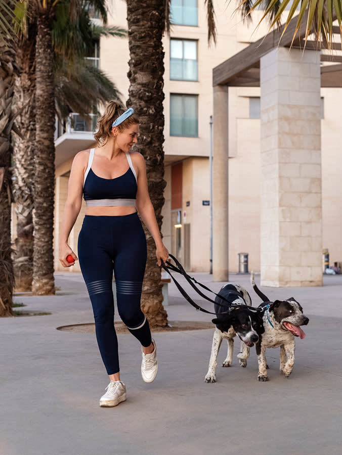 Every Reason Not to Foster a Pet Is Already Solved by the System