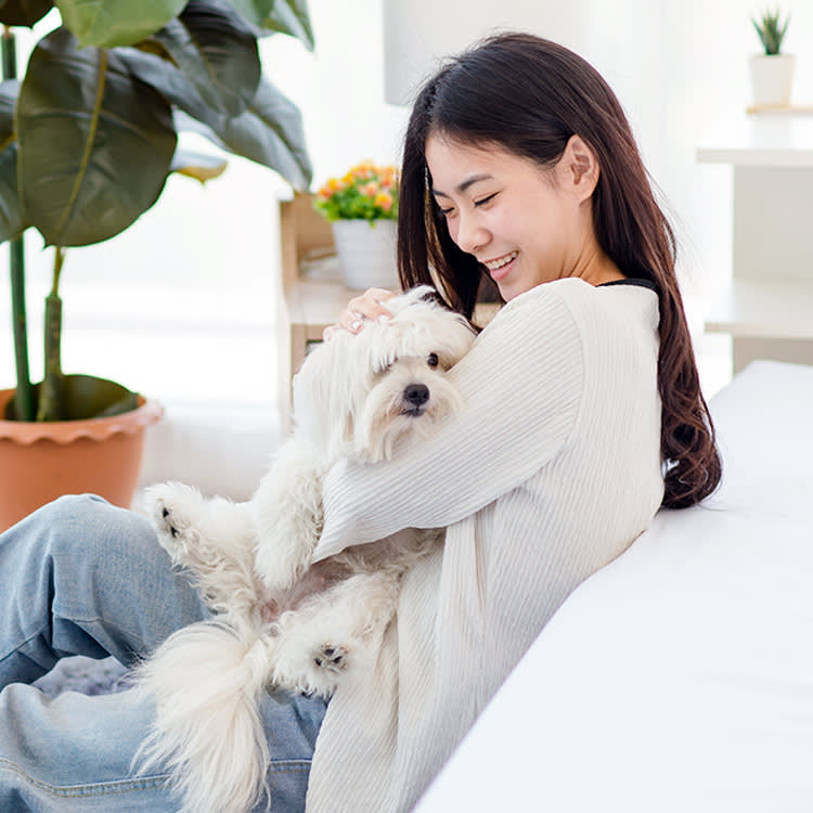 Your Dog Becomes an Adult Three Separate Times