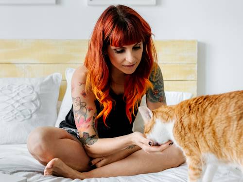 Your Cat Is Built to Hide Being Sick. Here's How to Call the Bluff.