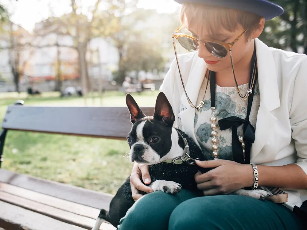 Your Dog Isn't Being Rude to Strangers. They're Scared.