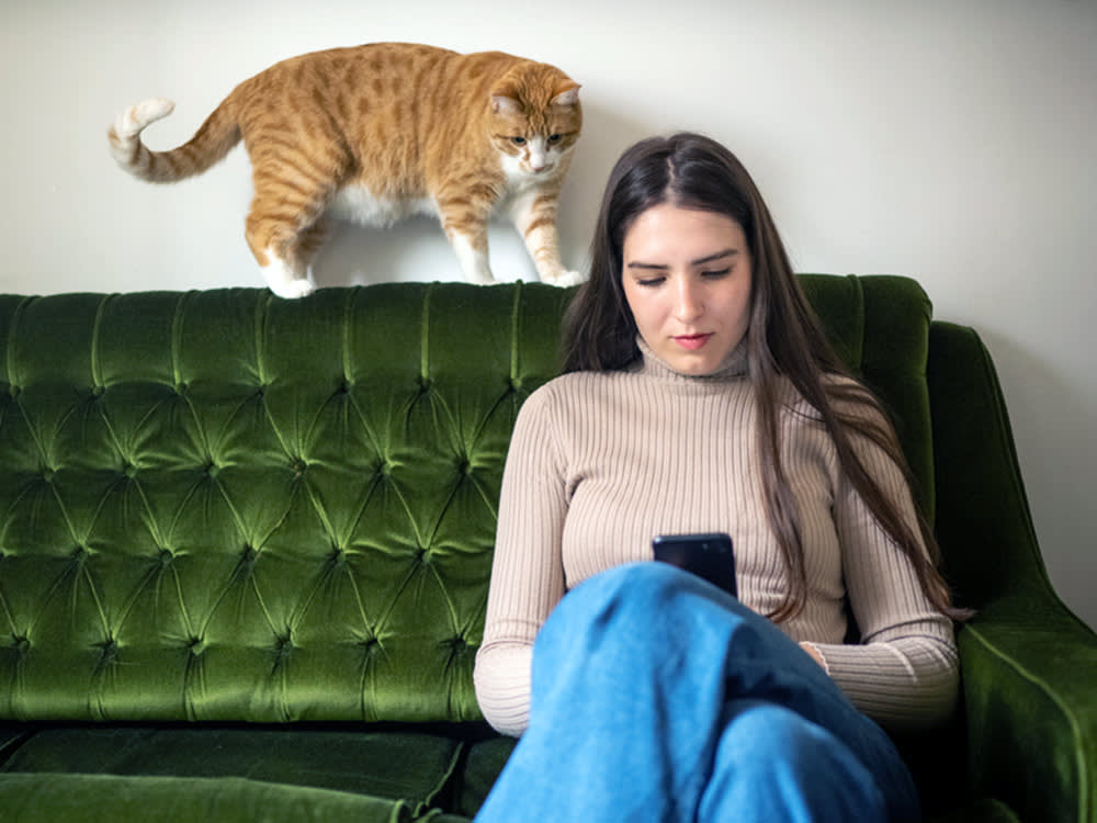 The Cat-Lover Paradox: Why Loving Cats Makes You Worse at Meeting Them